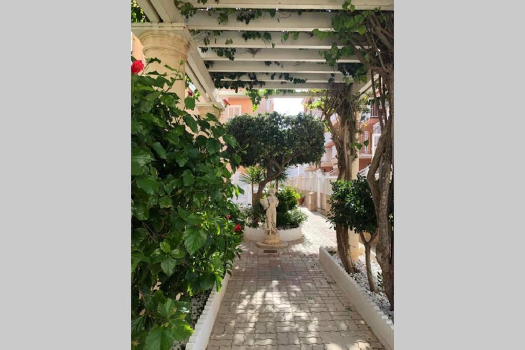 Beach Dream Apartment La Mata  Exterior foto